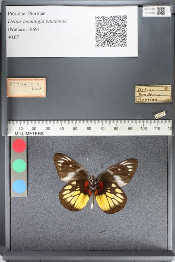 Media type: image;   Entomology 130325